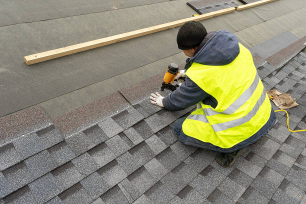 Best Roof Gutter Cleaning  in Bonanza, GA