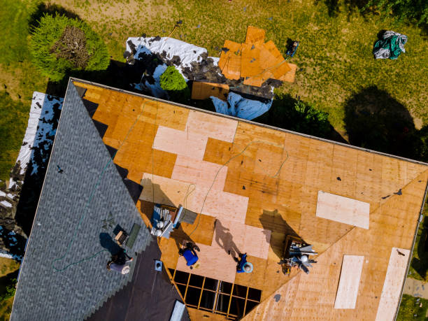 Best Roof Restoration Services  in Bonanza, GA