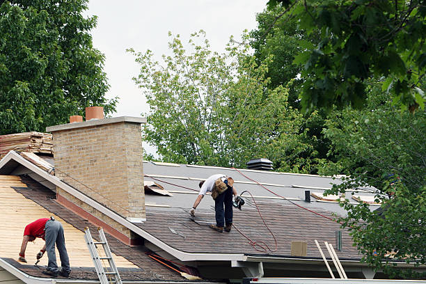 Gutter Installation and Roofing in Bonanza, GA
