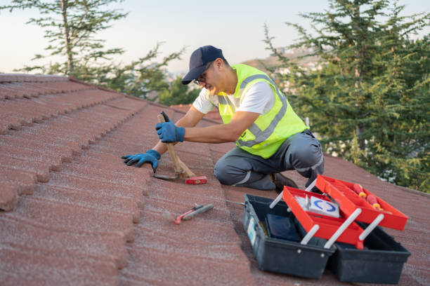 Best Roof Gutter Cleaning  in Bonanza, GA