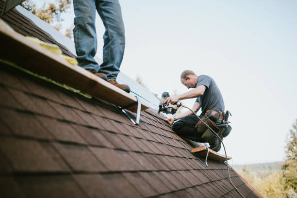 Best Metal Roofing Contractor  in Bonanza, GA
